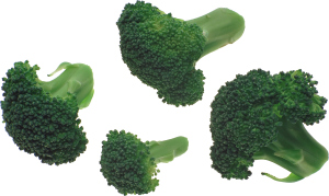 Broccoli PNG image-2824